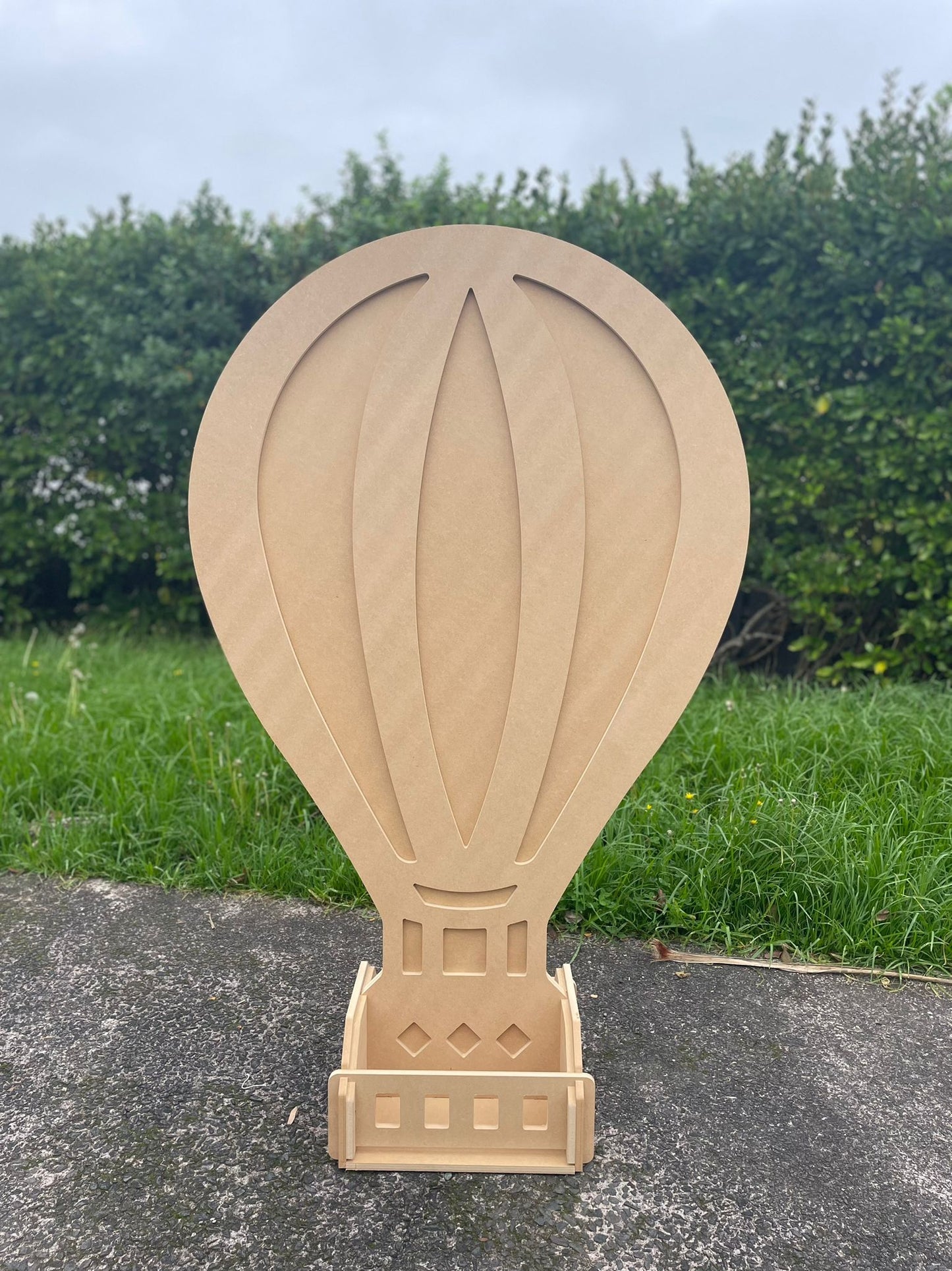 Hot Air Balloon
