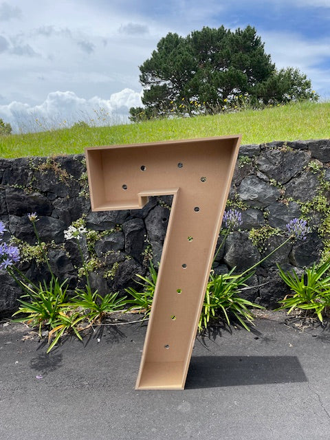 3D Marquee Numbers