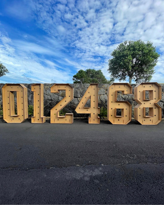 3d Marquee Numbers 1.0mH